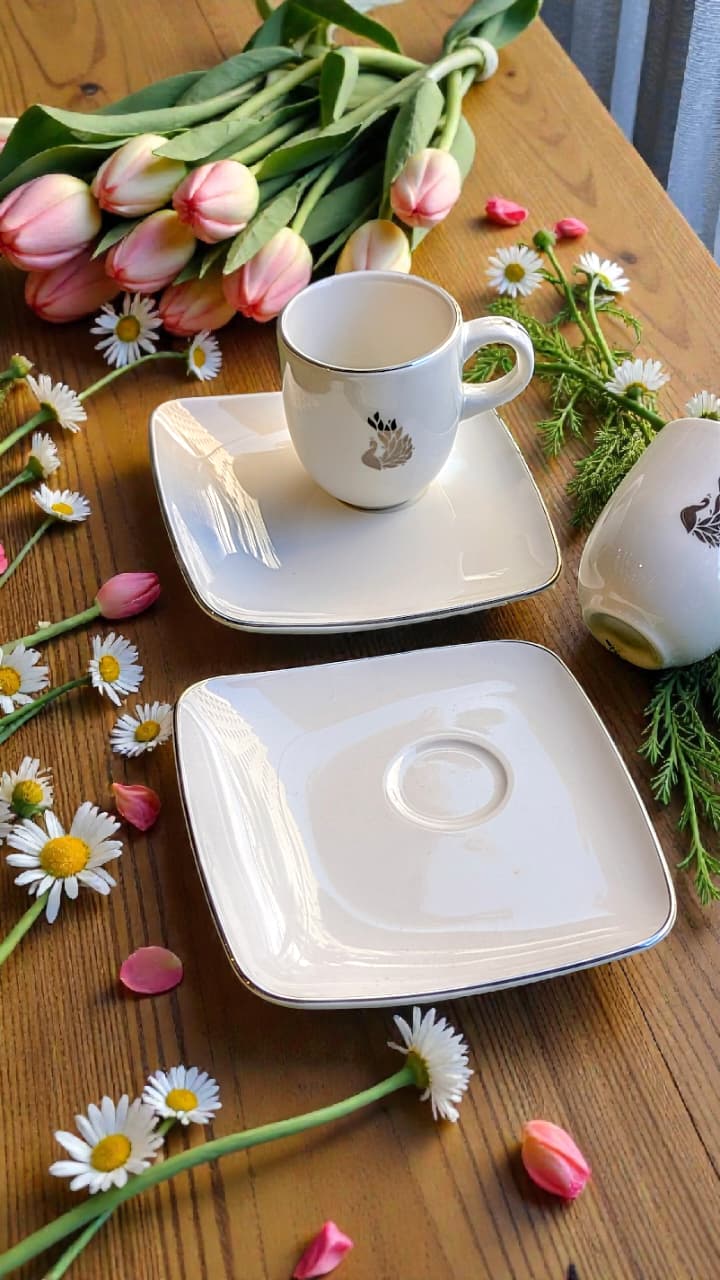 SWAN CUP SET